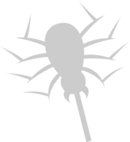 Spider vector