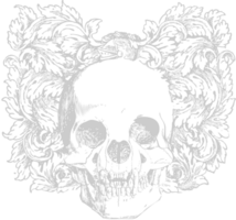 Death skull vector