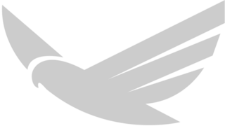 Bird vector