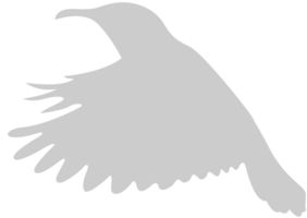 Bird vector