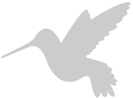 Bird vector