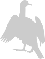 Bird vector