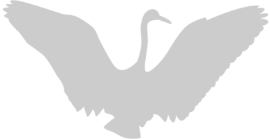 Bird vector