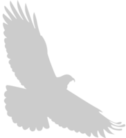 Bird vector