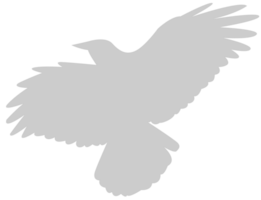 Bird vector