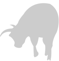 Bull vector