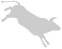 Bull vector