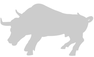 Bull vector