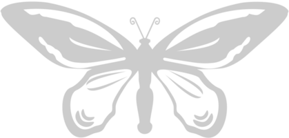 Butterfly vector