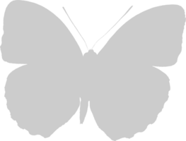 Butterfly vector