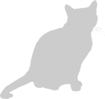 Cat vector