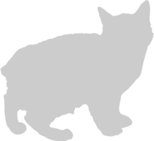 Cat vector