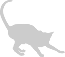 Cat vector