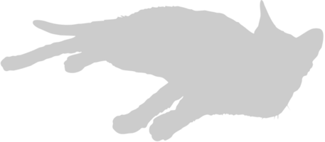 Cat vector