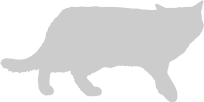 Cat vector