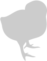 Chicken vector