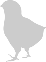 Chicken vector