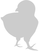 Chicken vector