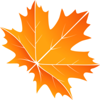 Maple Leaf vector