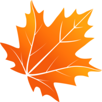 Maple Leaf vector