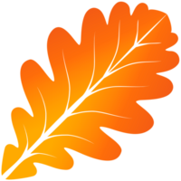 Oak Leaf vector