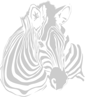 Zebra vector