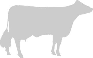 vaca vector