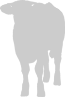 vaca vector