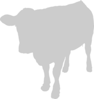 Cow vector