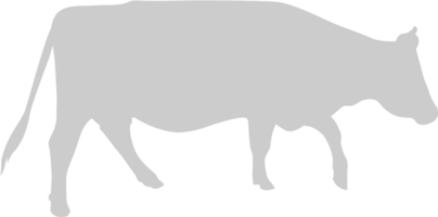 Cow walking vector