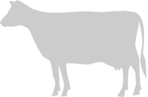 vaca vector