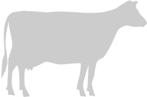 vaca vector