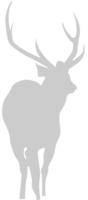 Deer vector