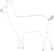 Deer vector