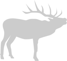 Deer vector