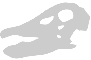 Dinosaurs skull vector