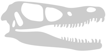 cráneo de dinosaurios vector