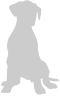 Dog vector