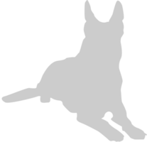 Dog vector