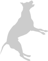 Dog jumping vector