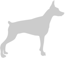 Dog vector