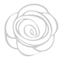 Flower rose vector