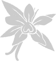 Flower vector
