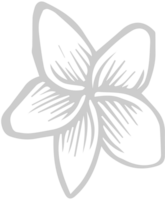 Flower  vector