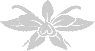 Flower vector