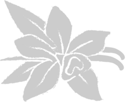 flor vector