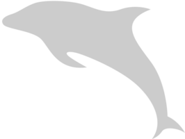 Dolphin vector