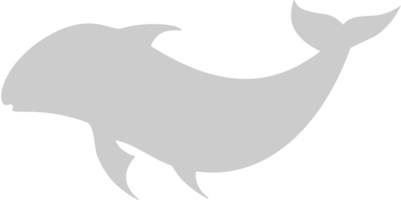 Dolphin vector