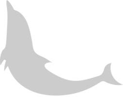 Dolphin vector