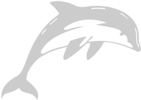 Dolphin vector